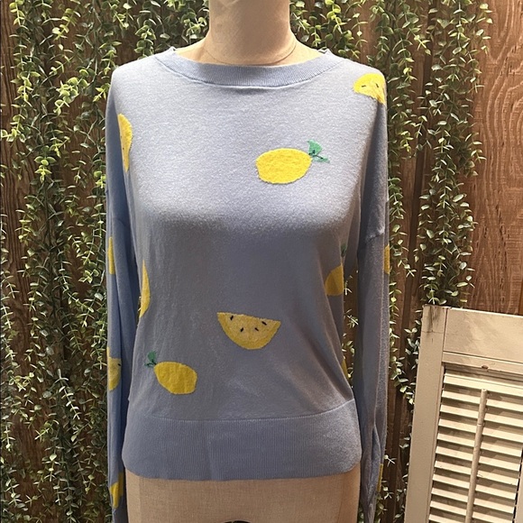 LOFT Sweaters - LOFT Blue Lemon Patterned Women's Top